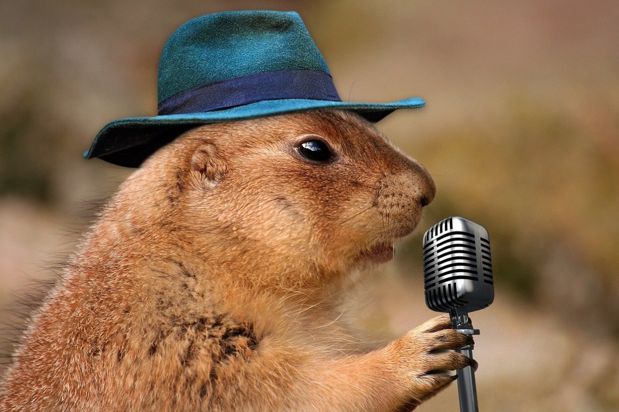 Prairie Dog as Van Morrison
